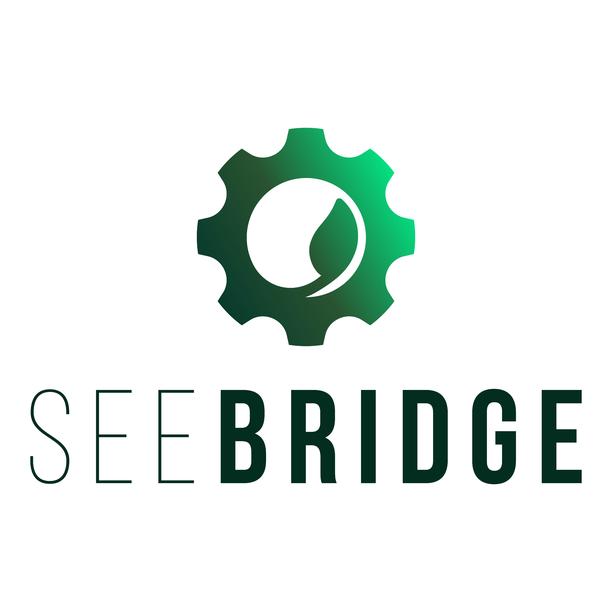 SeeBridge